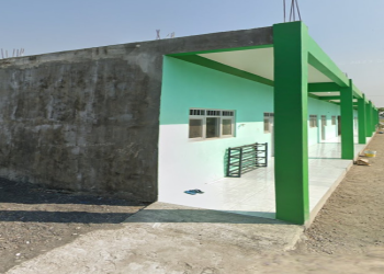wali